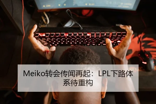Meiko转会传闻再起：LPL下路体系待重构